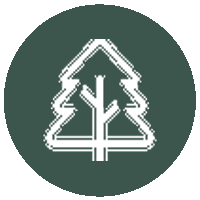 طراحی فضای سبز